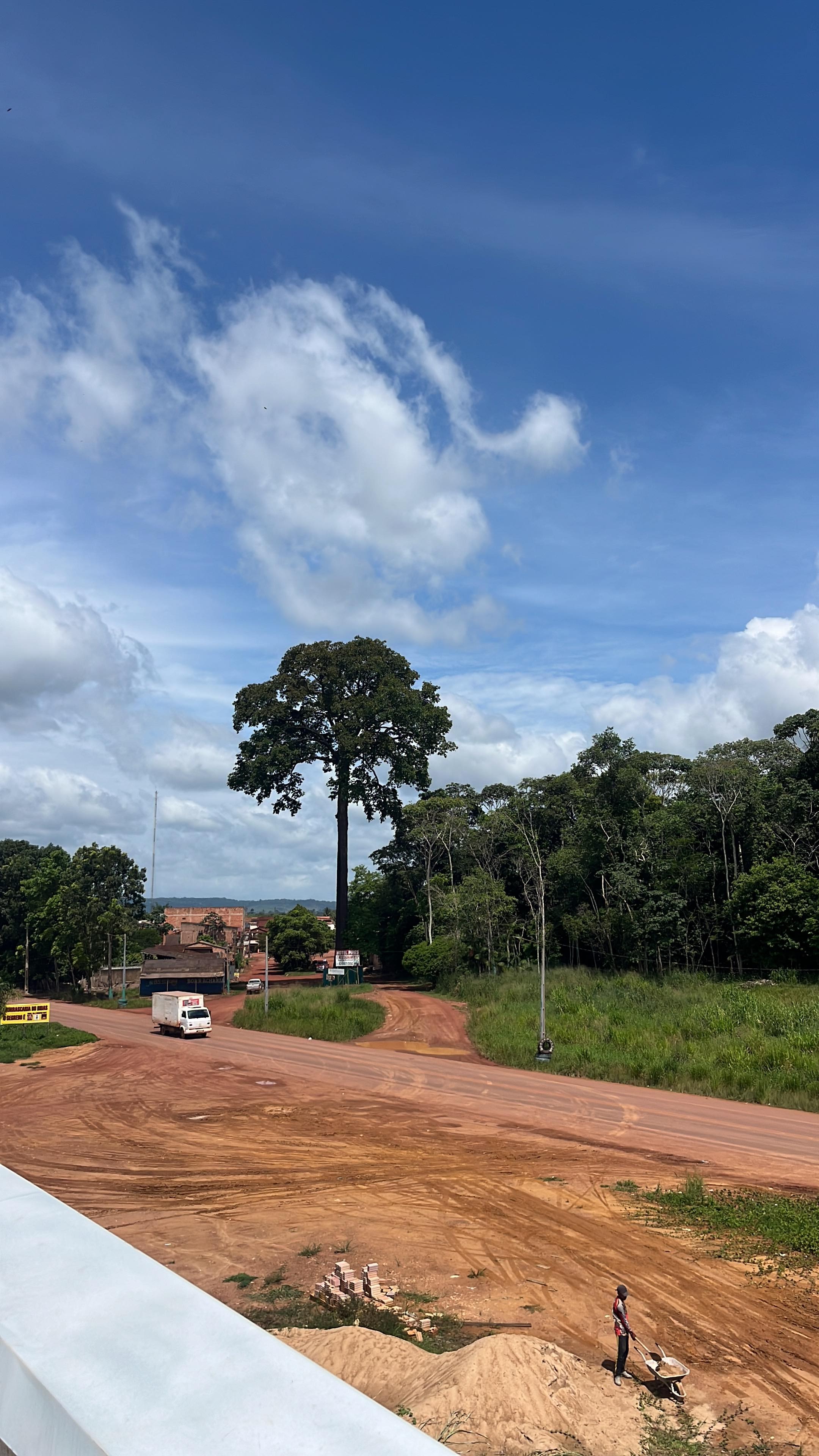 Serviço profissional de elétrica